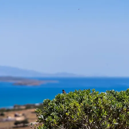 Lagadia Village * Antiparos